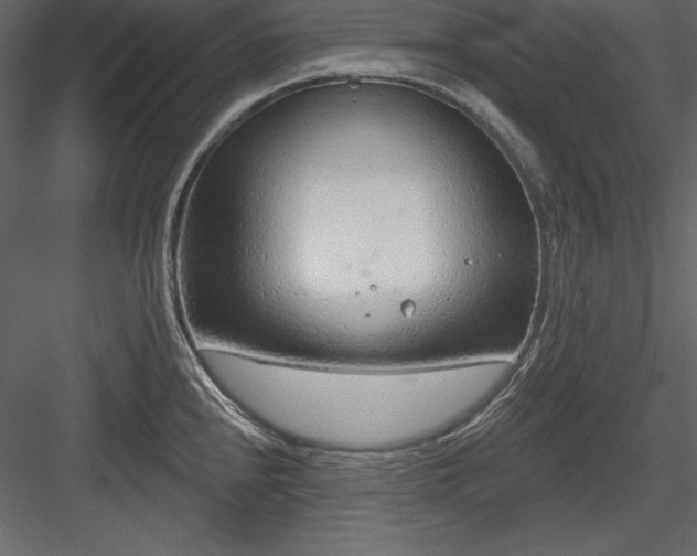 X0000083991240200702232102