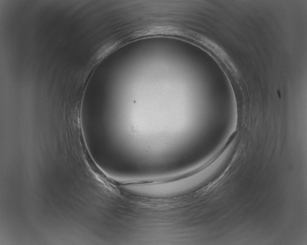 X0000083991241200702232102