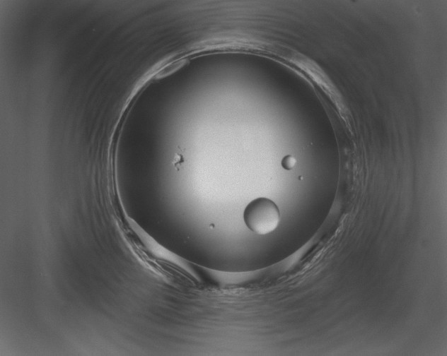 X0000083991242200702232103