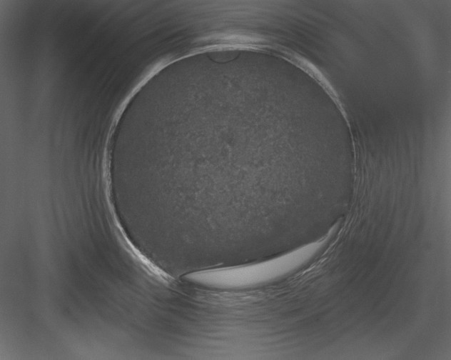 X0000083991243200702232103