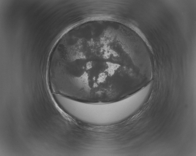 X0000083991245200702232103