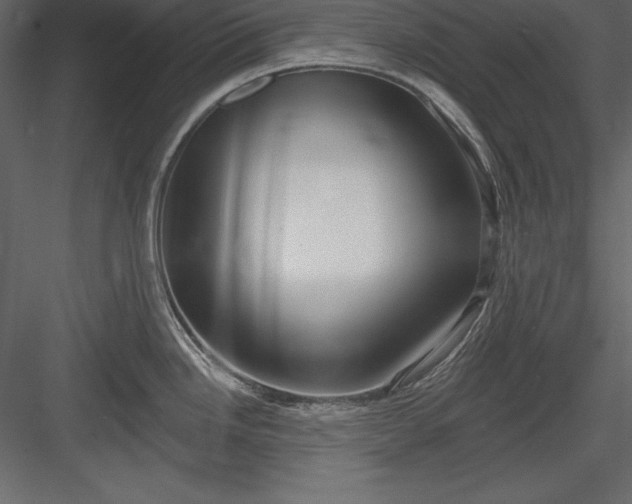 X0000083991246200702232103