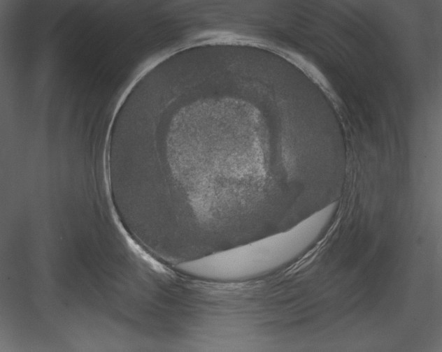 X0000083991247200702232103