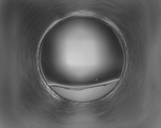 X0000083991248200702232103