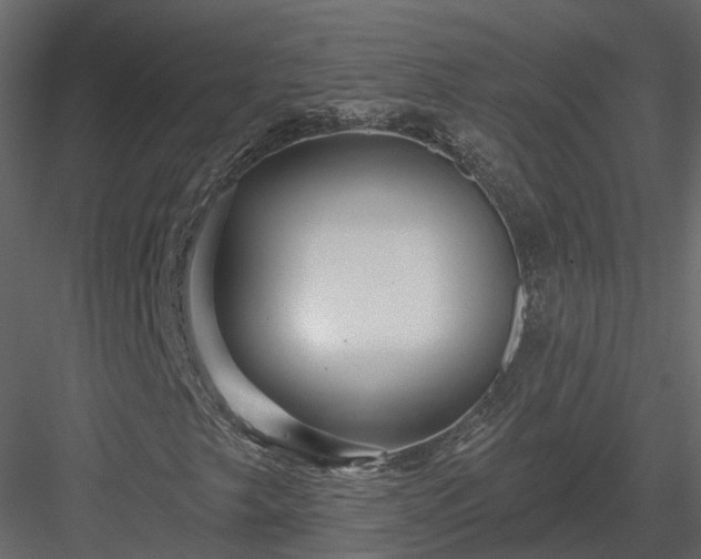 X0000083991249200702232102