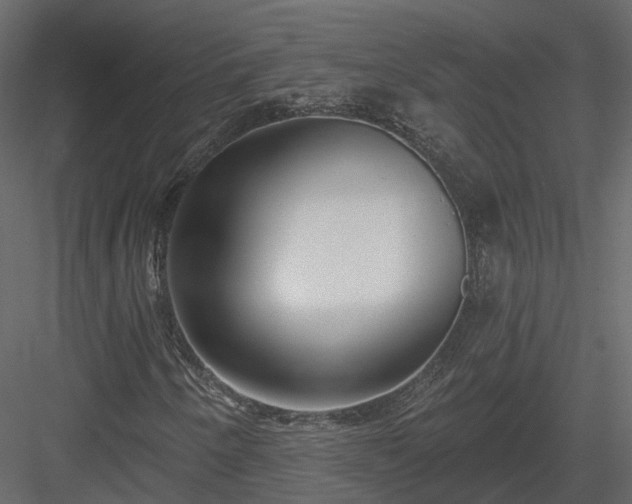 X0000083991250200702232102