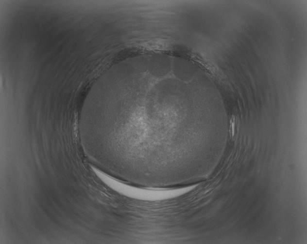 X0000083991251200702232102