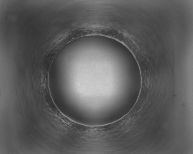 X0000083991253200702232102