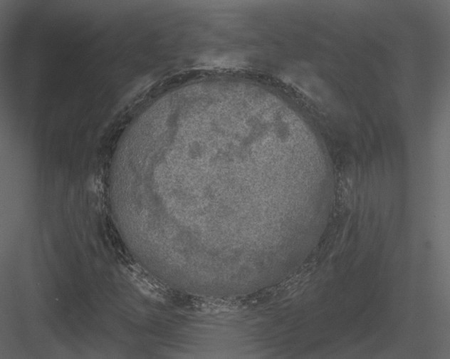 X0000083991254200702232102