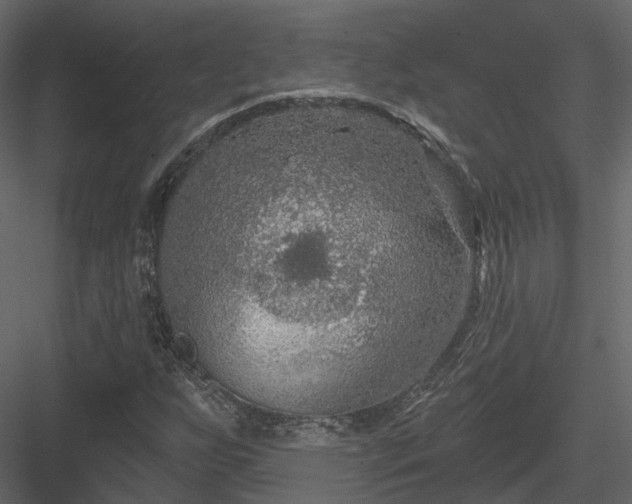 X0000083991255200702232102