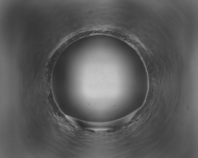 X0000083991256200702232102