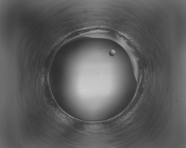 X0000083991257200702232102