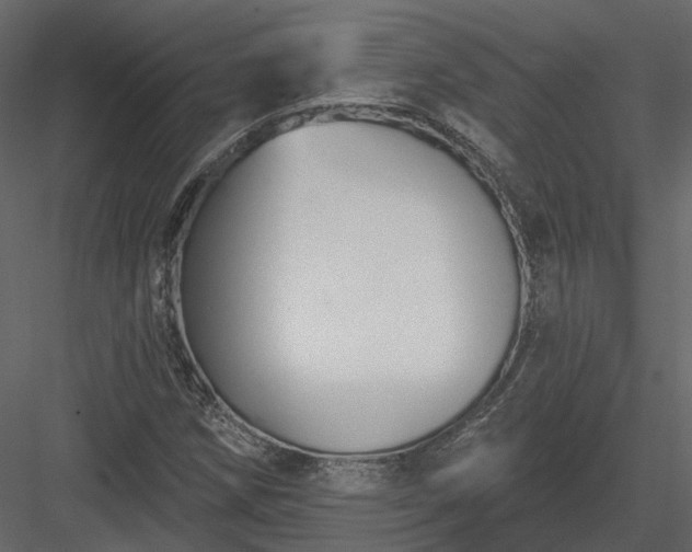 X0000083991258200702232102