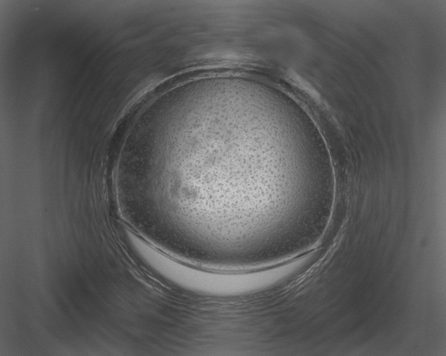 X0000083991259200702232102