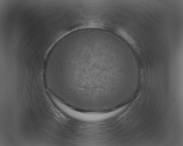 X0000083991260200702232101