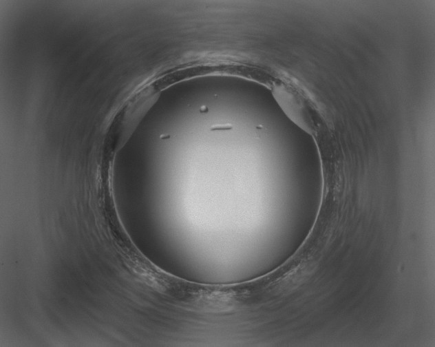 X0000083991261200702232101