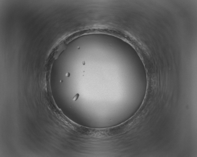 X0000083991262200702232101