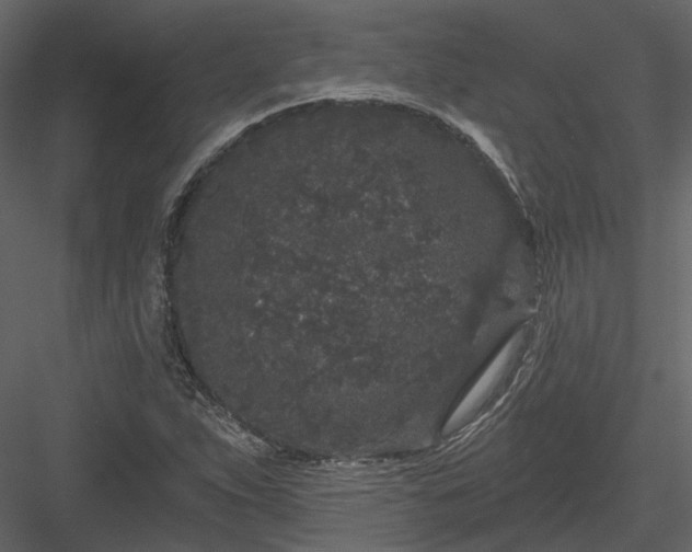 X0000083991263200702232101