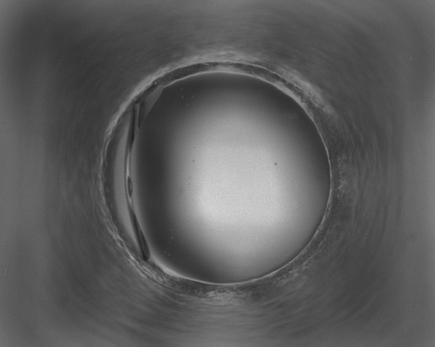 X0000083991264200702232101