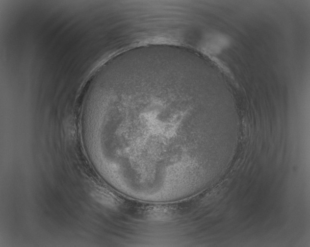 X0000083991266200702232101