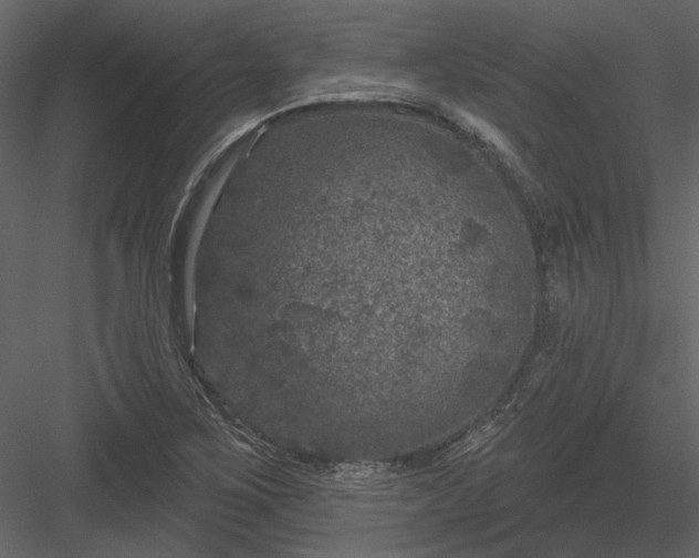 X0000083991267200702232101