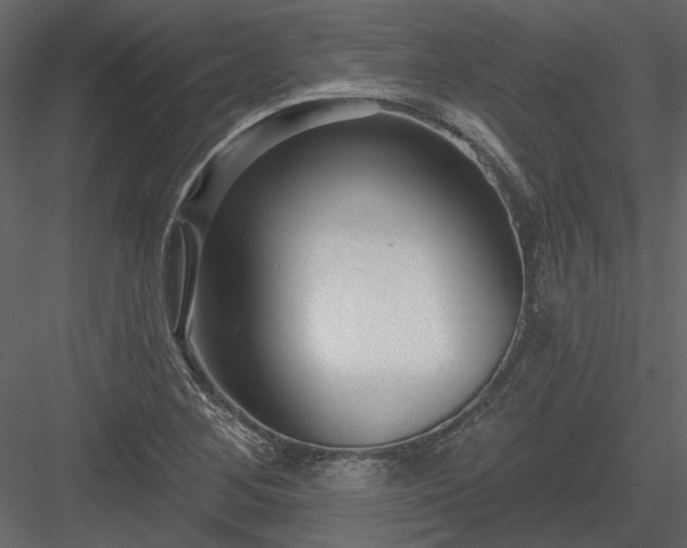 X0000083991268200702232101