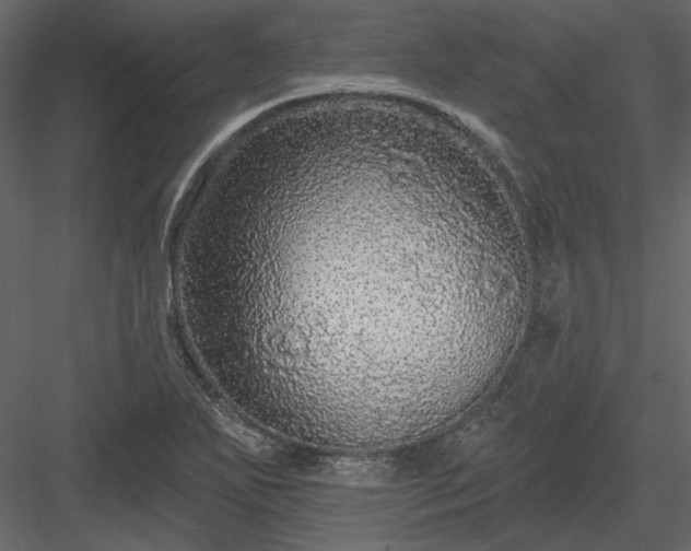 X0000083991271200702232101