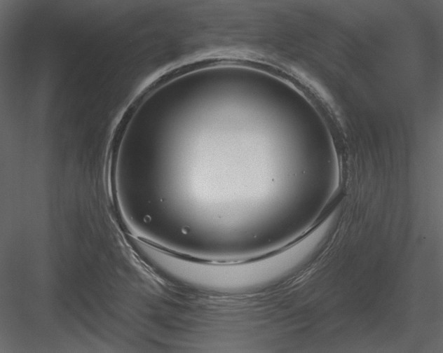 X0000083991272200702232101