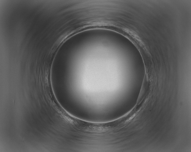 X0000083991273200702232101