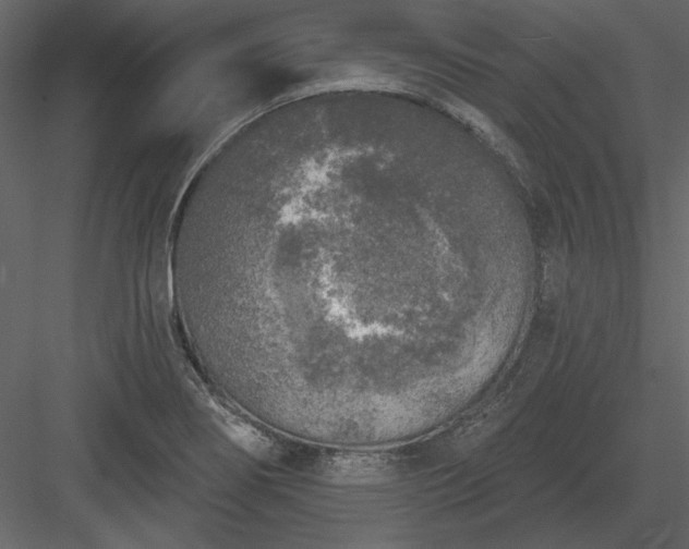 X0000083991274200702232101