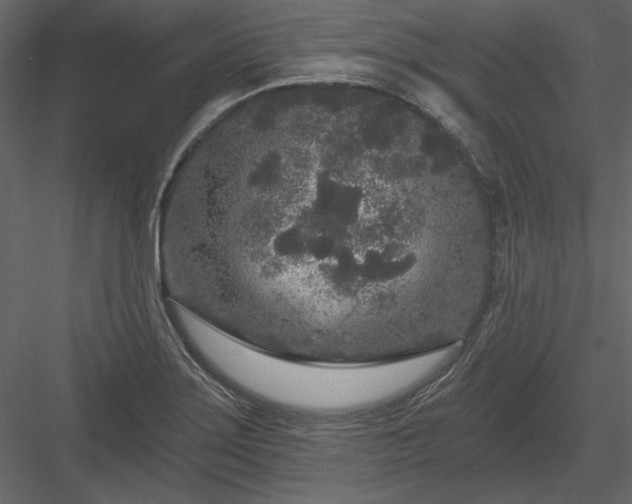 X0000083991275200702232101