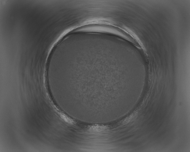 X0000083991277200702232101