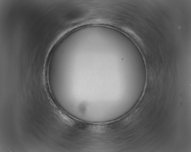 X0000083991278200702232101