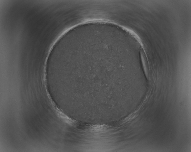 X0000083991279200702232101