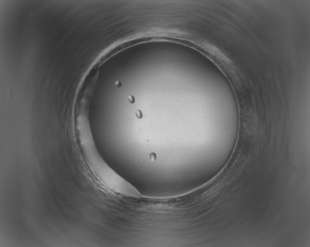 X0000083991280200702232101