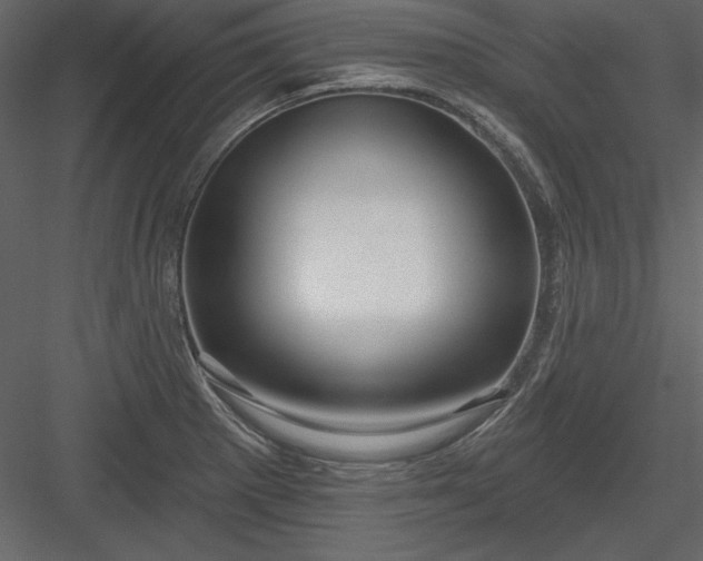 X0000083991281200702232101