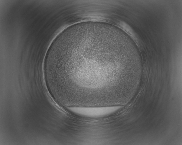 X0000083991283200702232101