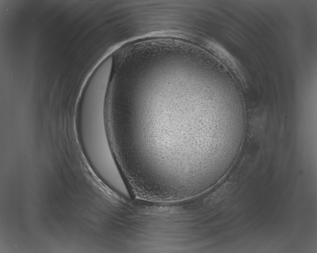 X0000083991284200702232101