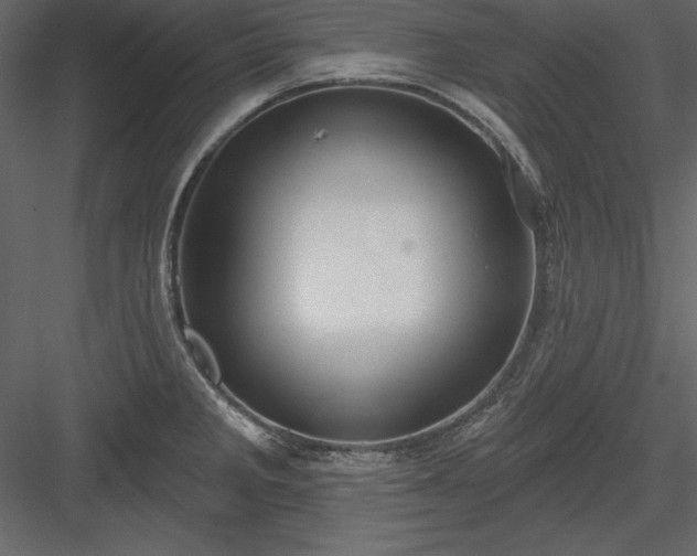 X0000083991285200702232101