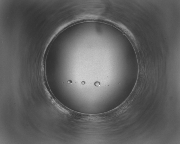 X0000083991287200702232101