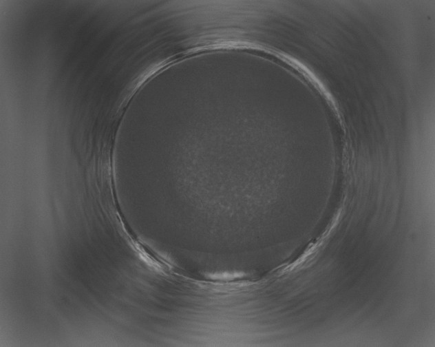 X0000083991289200702232101