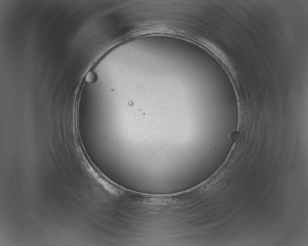 X0000083991290200702232101