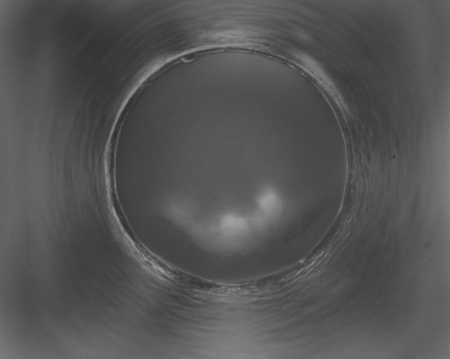 X0000083991291200702232101