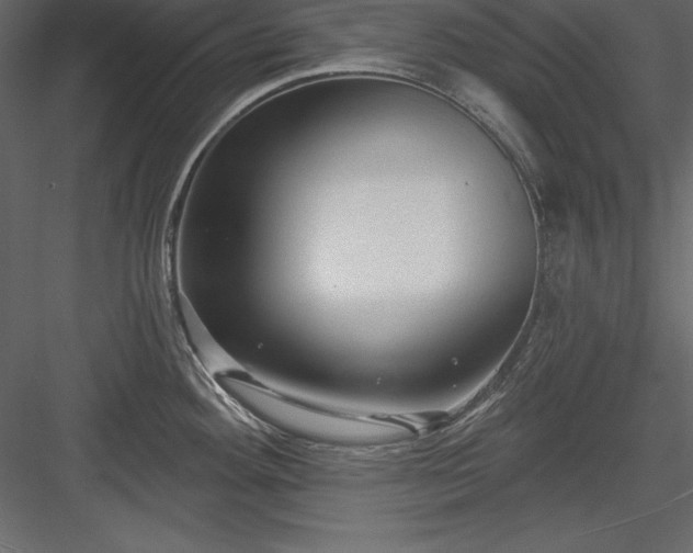 X0000083991292200702232101