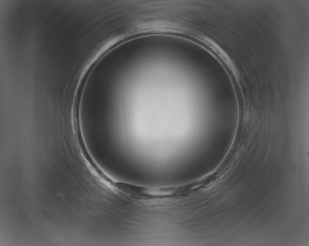 X0000083991293200702232101