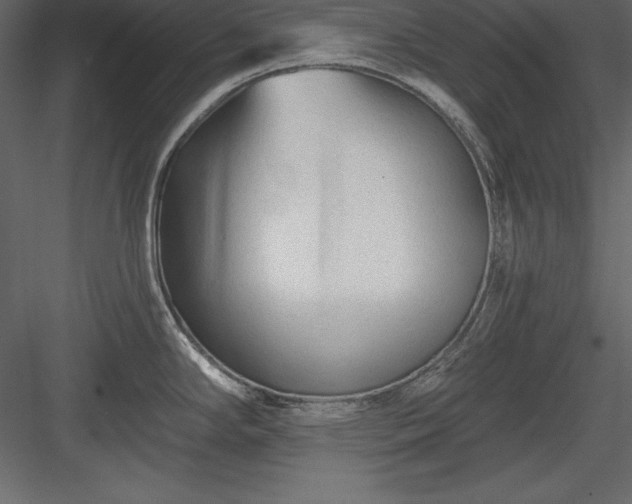 X0000083991294200702232101