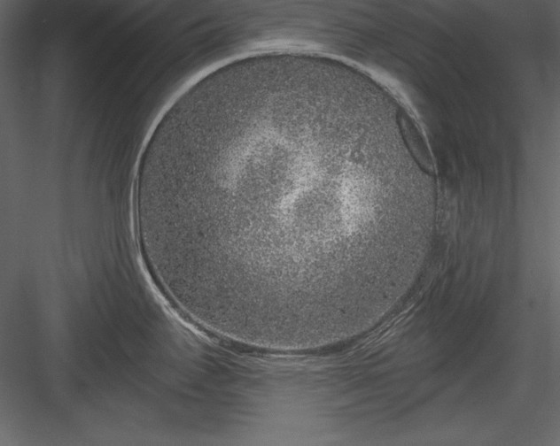 X0000083991295200702232101