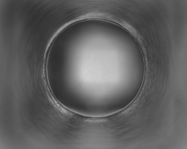 X0000083991296200702232101