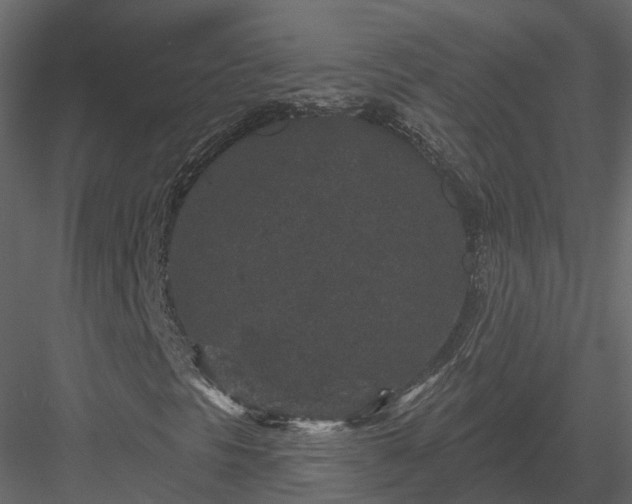 X0000083991297200702232100