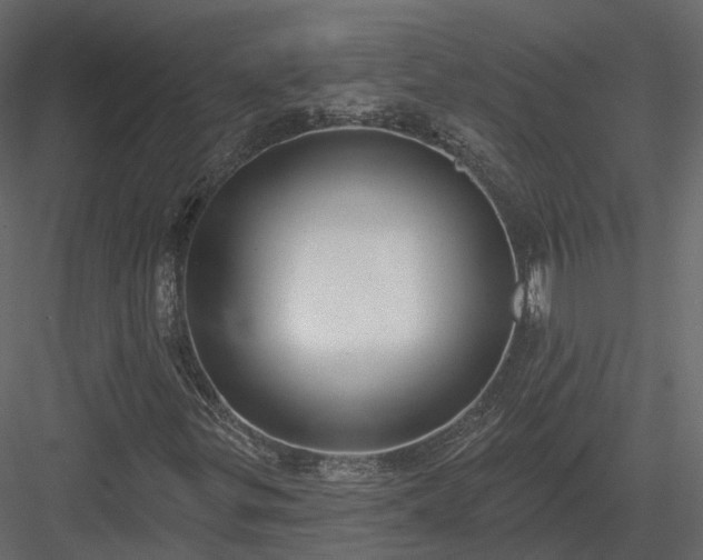 X0000083991299200702232100